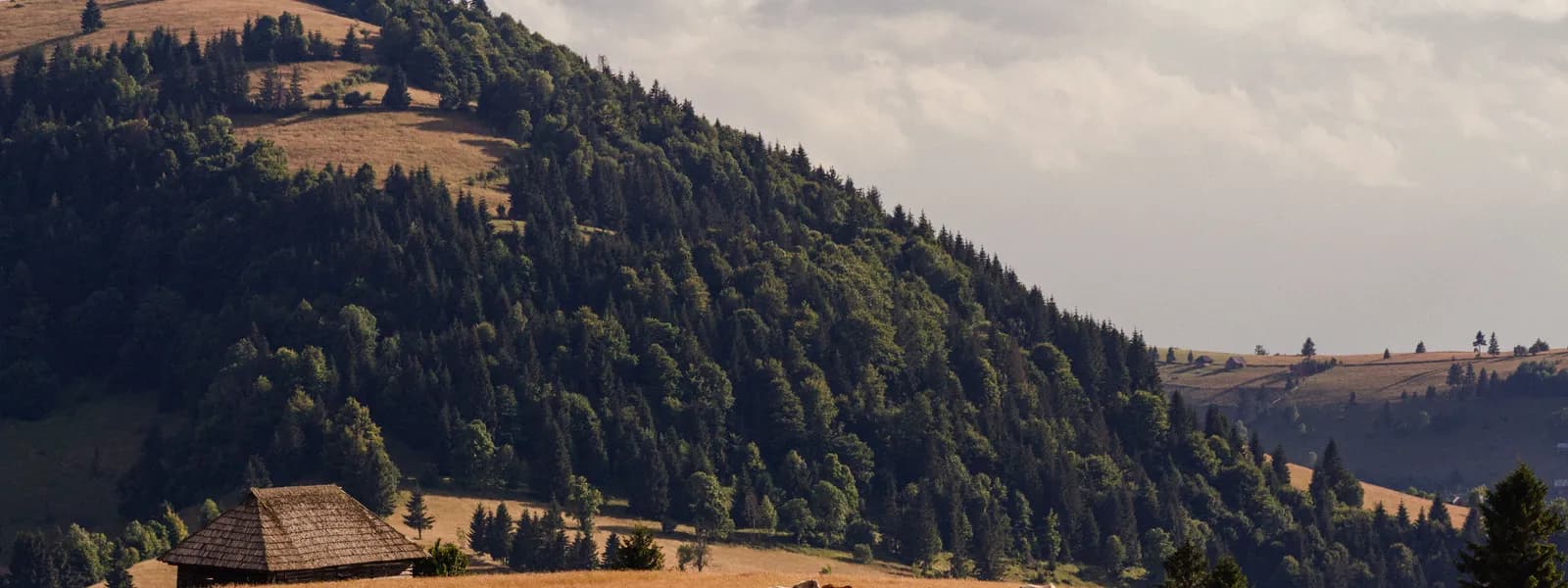 Maramureș