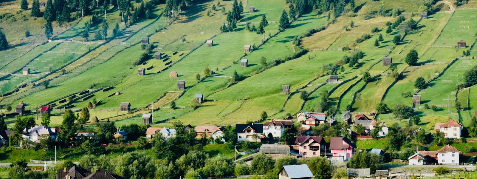 Suceava
